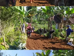 *Kades Suntenjaya Turun Langsung Pimpin Giat Kerja Bakti Buat Swadaya Jalan Bersama Warga*