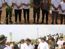 *HANTARU Jabar 2024, Tanam Ribuan Pohon*
