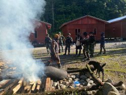 Satgas TNI Gelar Acara Adat Bakar Batu Bersama Masyarakat Kampung Banti