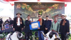 Pangdam III/Siliwangi Dukung Pelestarian Domba Garut Melalui Festival Peternak di Cimahi